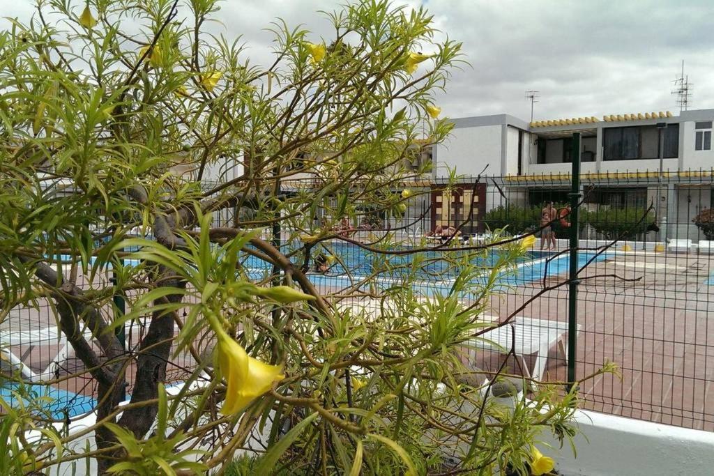 דירות קוסטה דל סילנסיו Apartamento Drago מראה חיצוני תמונה